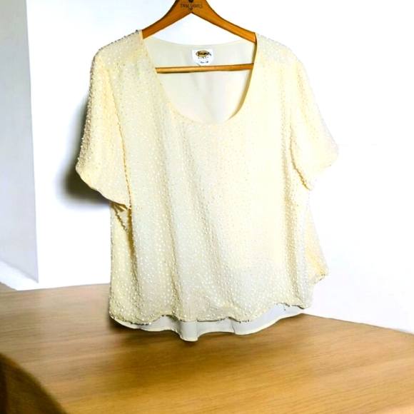 Talbots  Cream Silk Sz 20W Sequin Blouse Relaxed Fit - Picture 1 of 6